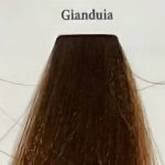 7 Gianduia (ciocolata cu alune)