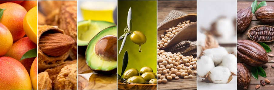 Cele 7 uleiuri active din complexul SymOleo Vita 7: mango, migdale, avocado, măsline, soia, bumbac, cacao